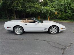 1995 Chevrolet Corvette (CC-2088564) for sale in Greensboro, North Carolina