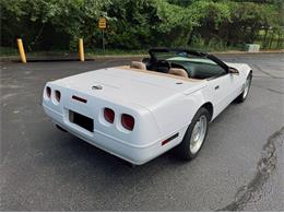 1995 Chevrolet Corvette (CC-2088564) for sale in Greensboro, North Carolina