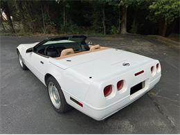 1995 Chevrolet Corvette (CC-2088564) for sale in Greensboro, North Carolina