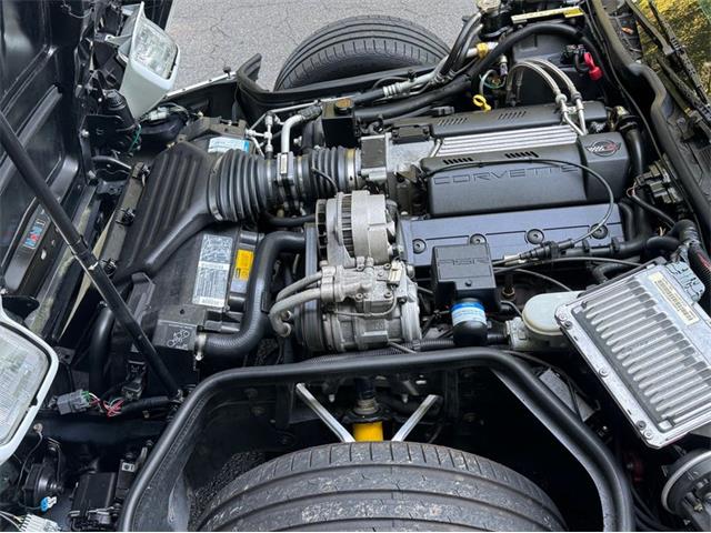 1995 Chevrolet Corvette (CC-2088564) for sale in Greensboro, North Carolina
