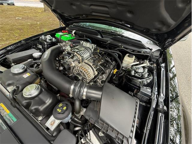 2007 Ford Mustang (CC-2088575) for sale in Greensboro, North Carolina
