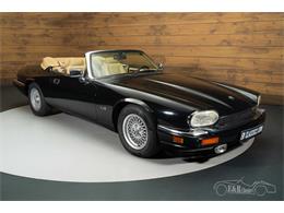 1994 Jaguar XJS (CC-2088627) for sale in Waalwijk, Noord Brabant