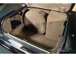 1994 Jaguar XJS (CC-2088627) for sale in Waalwijk, Noord Brabant