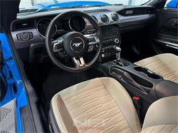 2017 Ford Mustang (CC-2088636) for sale in North East, Pennsylvania