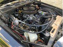 1974 Chevrolet Camaro (CC-2088647) for sale in Fredericksburg, Texas