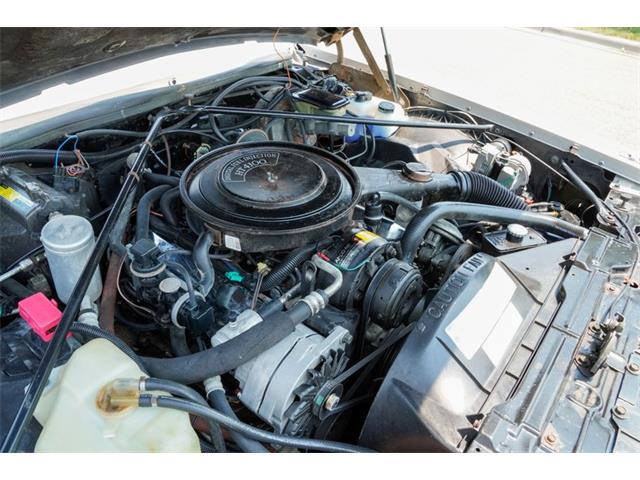 1983 Cadillac Eldorado (CC-2088662) for sale in Ramsey, Minnesota