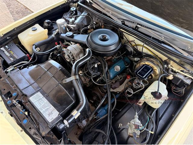 1979 Buick Regal (CC-2088667) for sale in Alsip, Illinois