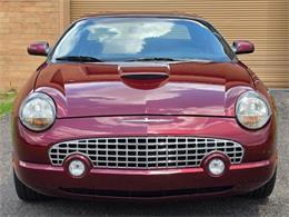 2004 Ford Thunderbird (CC-2088686) for sale in Hope Mills, North Carolina