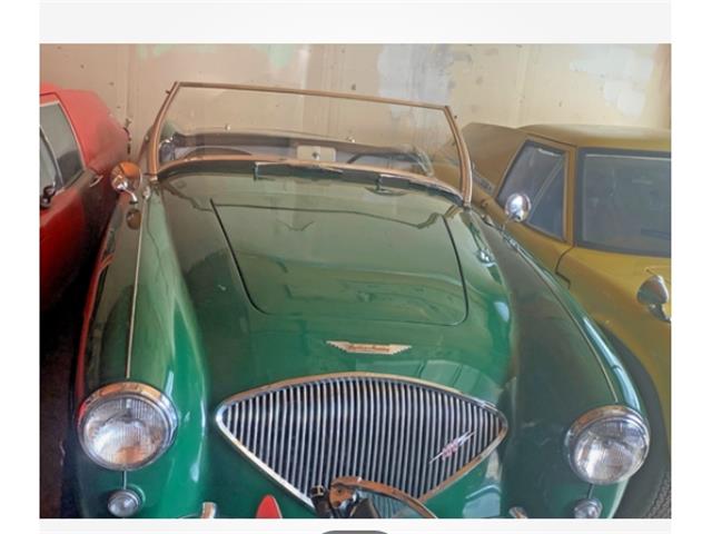 1954 Austin-Healey 100 BN1 (CC-2080870) for sale in Montclair, New Jersey