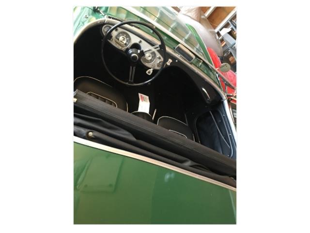 1954 Austin-Healey 100 BN1 (CC-2080870) for sale in Montclair, New Jersey