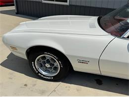 1976 Pontiac Firebird (CC-2088722) for sale in Greene, Iowa
