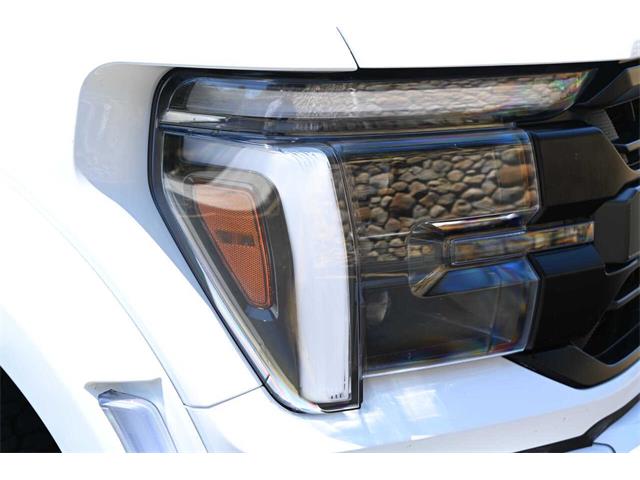 2025 Ford F150 (CC-2088752) for sale in Santa Barbara, California