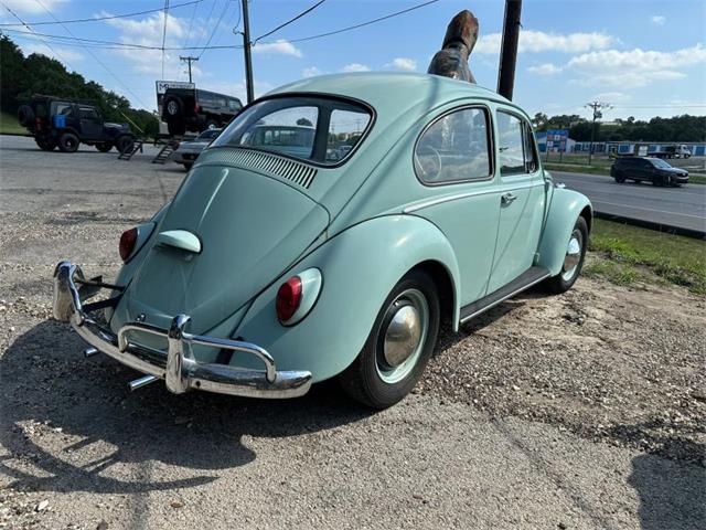 1965 Volkswagen Beetle (CC-2088761) for sale in Spring Branch, Texas