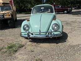 1965 Volkswagen Beetle (CC-2088761) for sale in Spring Branch, Texas