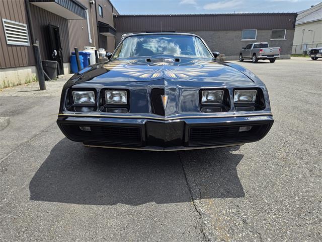 1980 Pontiac Firebird Trans Am (CC-2088799) for sale in Vaudreuil-Dorion, Québec