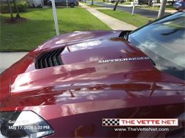 2017 Chevrolet Corvette Grand Sport (CC-2088826) for sale in Port St. Lucie, Florida