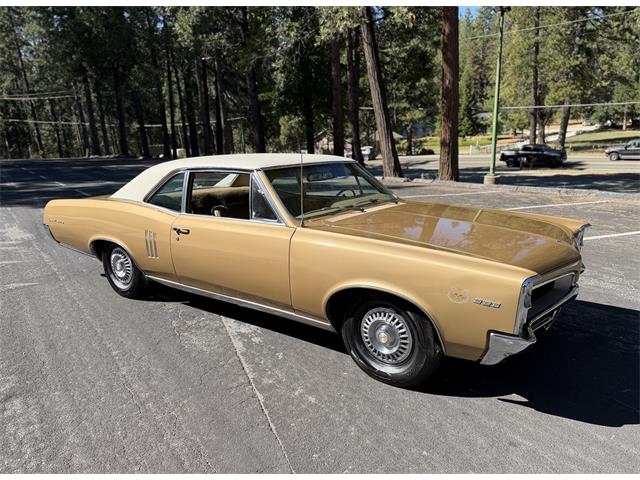 1967 Pontiac LeMans (CC-2088838) for sale in Grass Valley, California