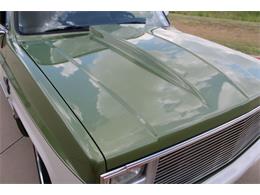 1981 Chevrolet C10 (CC-2088930) for sale in Grapevine, Texas
