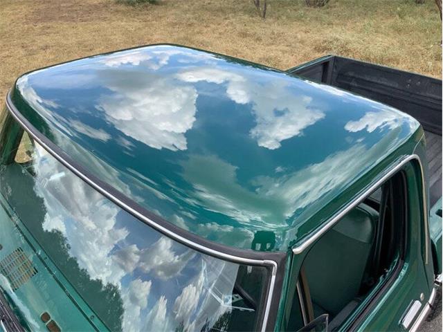 1979 Ford F150 (CC-2088958) for sale in Fredericksburg, Texas