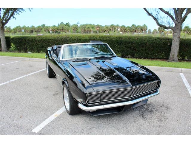 1967 Chevrolet Camaro (CC-2088960) for sale in Sarasota, Florida