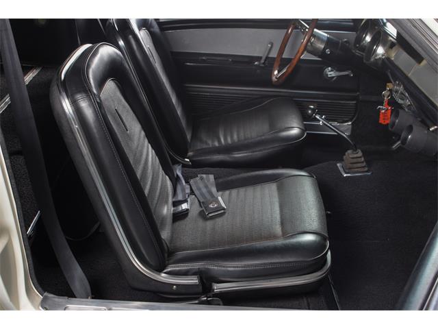 1967 Shelby GT500 (CC-2089001) for sale in Sneek, The Netherlands