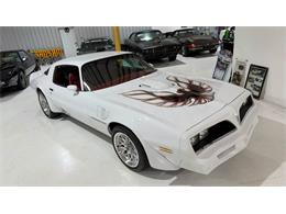 1978 Pontiac Firebird Trans Am (CC-2089031) for sale in Miami, Florida