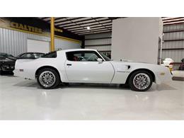 1978 Pontiac Firebird Trans Am (CC-2089031) for sale in Miami, Florida