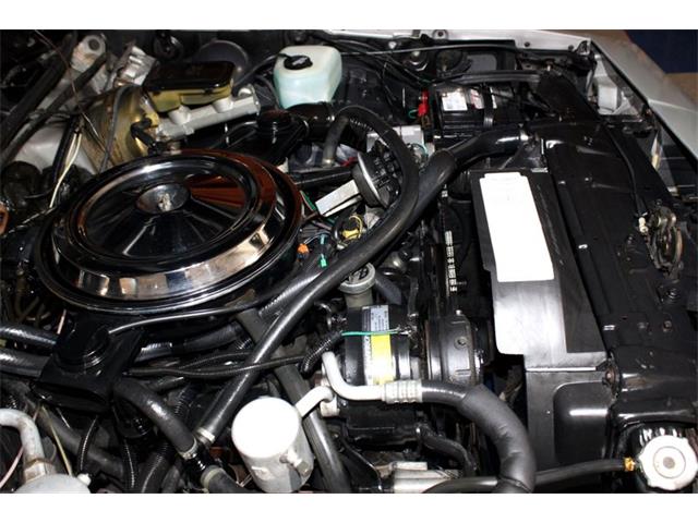 1984 Oldsmobile Hurst (CC-2089055) for sale in New Braunfels, Texas