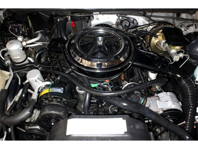 1984 Oldsmobile Hurst (CC-2089055) for sale in New Braunfels, Texas