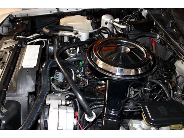1984 Oldsmobile Hurst (CC-2089055) for sale in New Braunfels, Texas