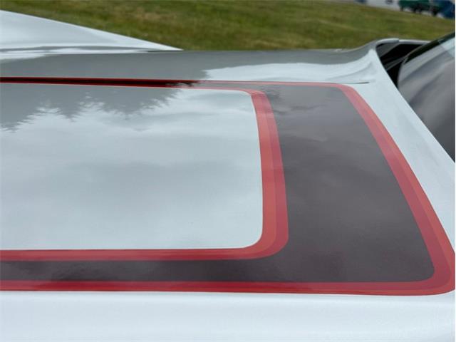 1982 Chevrolet Corvette (CC-2089061) for sale in Orwigsburg, Pennsylvania