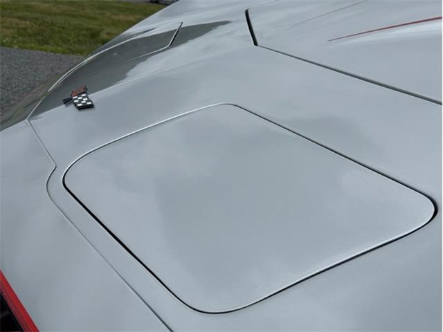 1982 Chevrolet Corvette (CC-2089061) for sale in Orwigsburg, Pennsylvania