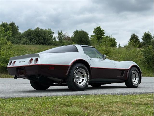1982 Chevrolet Corvette (CC-2089061) for sale in Orwigsburg, Pennsylvania