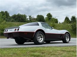 1982 Chevrolet Corvette (CC-2089061) for sale in Orwigsburg, Pennsylvania