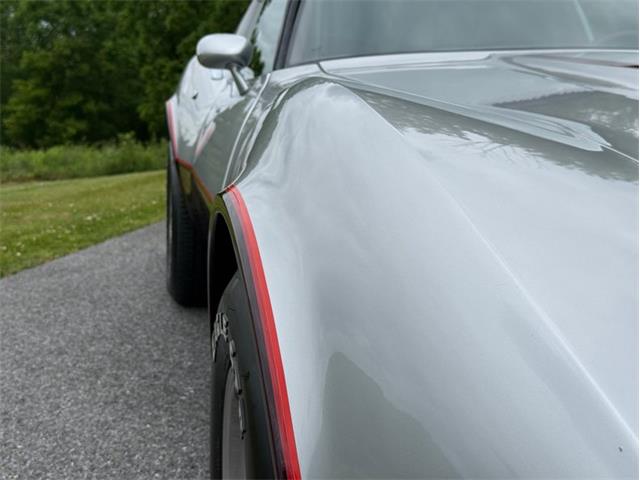 1982 Chevrolet Corvette (CC-2089061) for sale in Orwigsburg, Pennsylvania