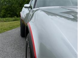 1982 Chevrolet Corvette (CC-2089061) for sale in Orwigsburg, Pennsylvania