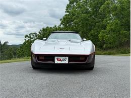 1982 Chevrolet Corvette (CC-2089061) for sale in Orwigsburg, Pennsylvania