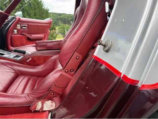1982 Chevrolet Corvette (CC-2089061) for sale in Orwigsburg, Pennsylvania