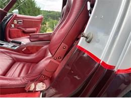 1982 Chevrolet Corvette (CC-2089061) for sale in Orwigsburg, Pennsylvania