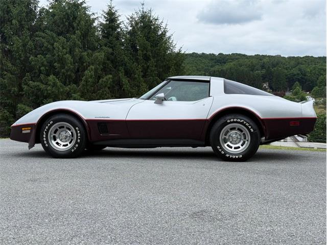 1982 Chevrolet Corvette (CC-2089061) for sale in Orwigsburg, Pennsylvania