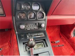 1982 Chevrolet Corvette (CC-2089061) for sale in Orwigsburg, Pennsylvania