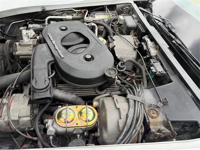 1982 Chevrolet Corvette (CC-2089061) for sale in Orwigsburg, Pennsylvania