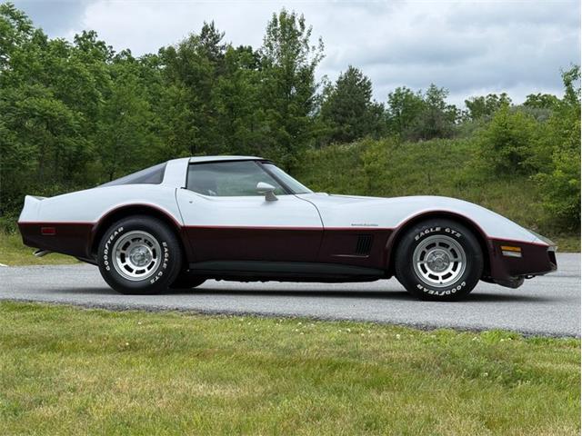 1982 Chevrolet Corvette (CC-2089061) for sale in Orwigsburg, Pennsylvania