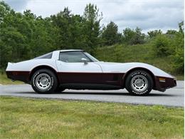 1982 Chevrolet Corvette (CC-2089061) for sale in Orwigsburg, Pennsylvania