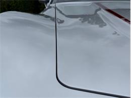 1982 Chevrolet Corvette (CC-2089061) for sale in Orwigsburg, Pennsylvania