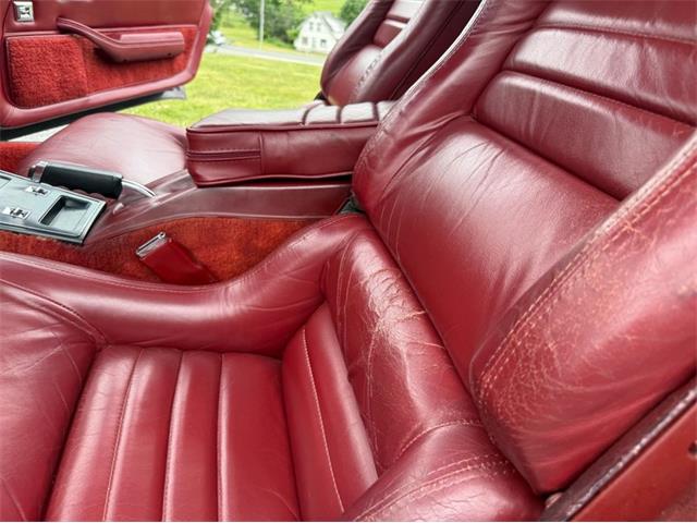 1982 Chevrolet Corvette (CC-2089061) for sale in Orwigsburg, Pennsylvania