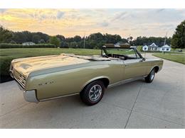 1967 Pontiac GTO (CC-2089072) for sale in Orrville, Ohio