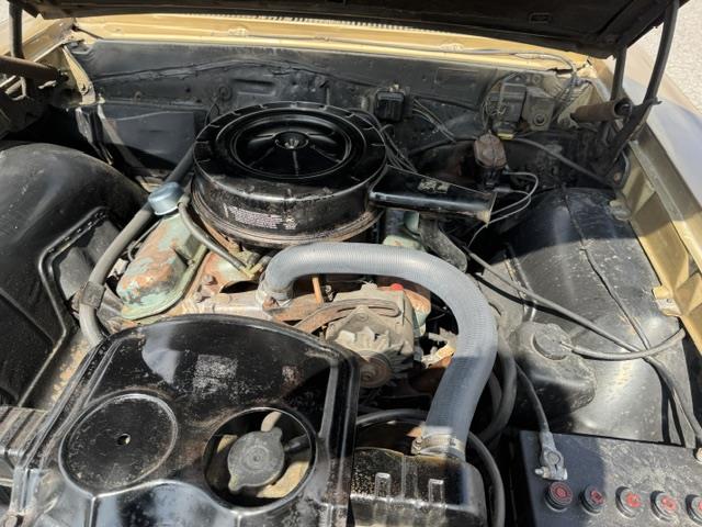 1967 Pontiac Tempest (CC-2089092) for sale in Mill Hall, Pennsylvania