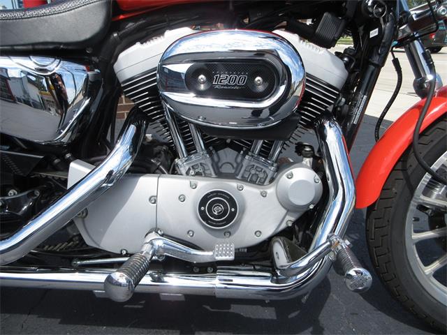 2004 Harley-Davidson Sportster (CC-2089102) for sale in Sterling, Illinois