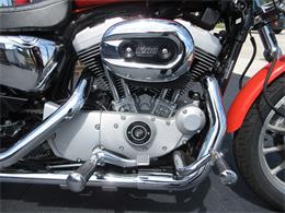 2004 Harley-Davidson Sportster (CC-2089102) for sale in Sterling, Illinois